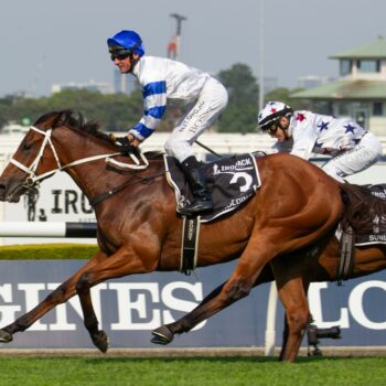 Kolding's Eagle Lands A Golden Eagle